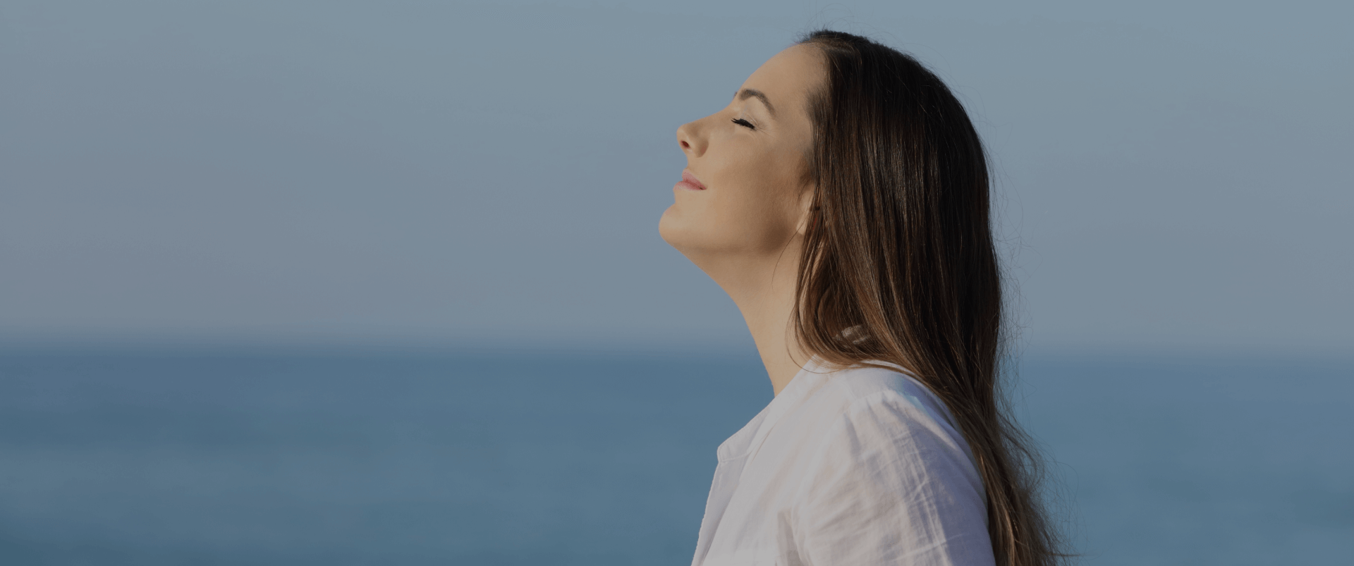 Wellness - Jetsynthesys